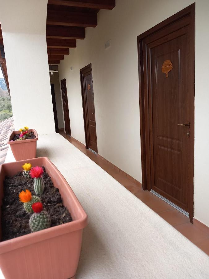 Agriturismo L'Ulivo Padula Kültér fotó
