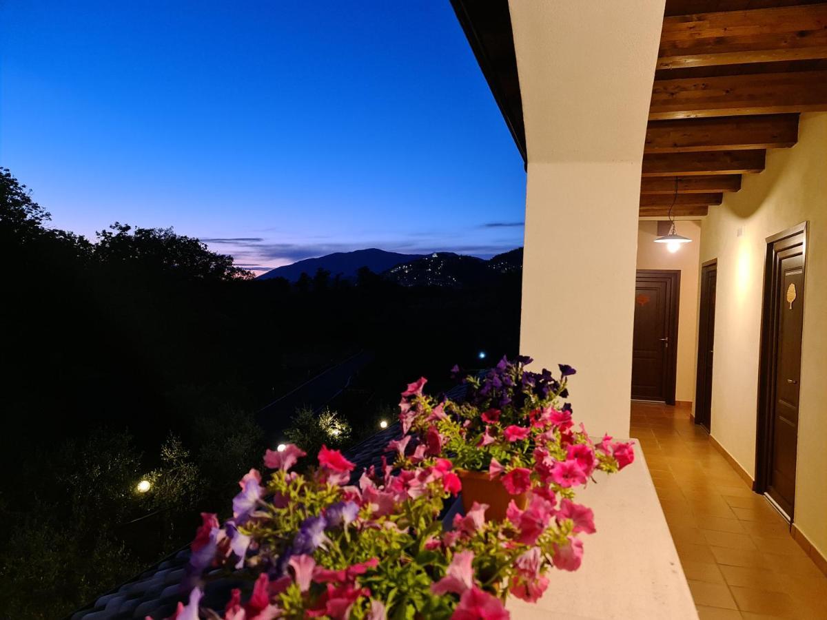 Agriturismo L'Ulivo Padula Kültér fotó