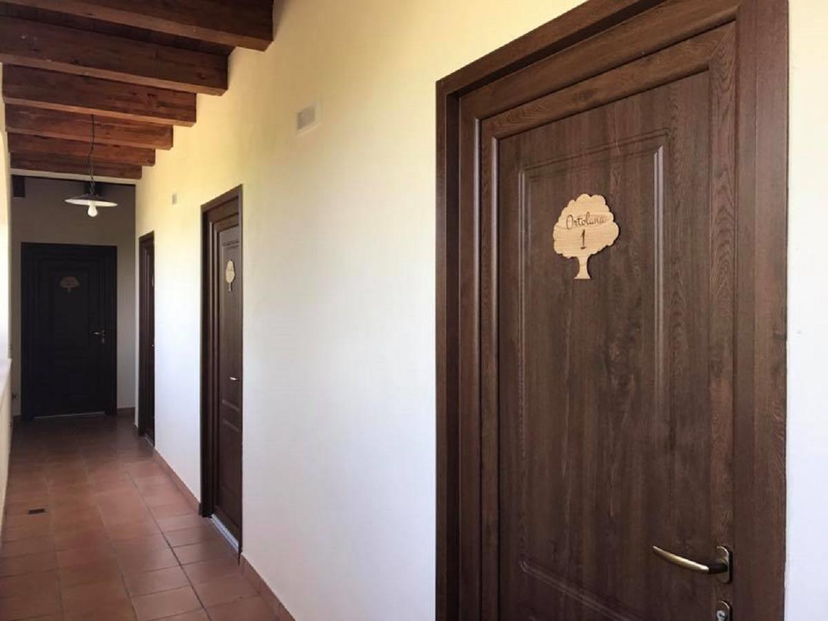 Agriturismo L'Ulivo Padula Kültér fotó